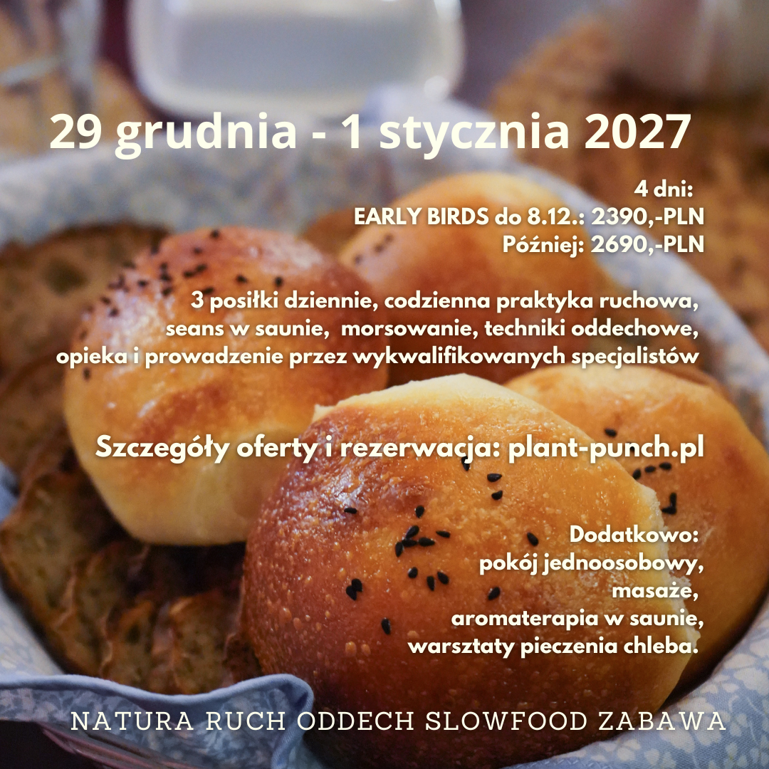 Sylwester II-2